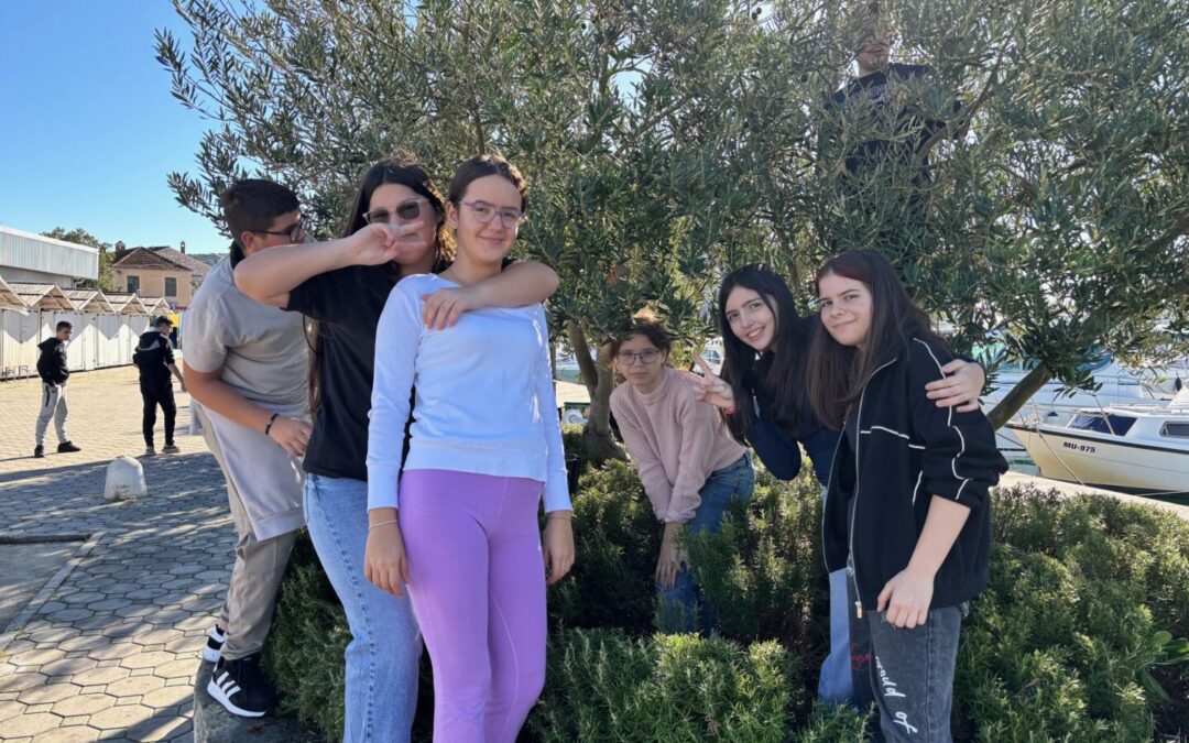 Masline zlatne, ruke složne – tradicionalna akcija branja maslina u Pirovcu