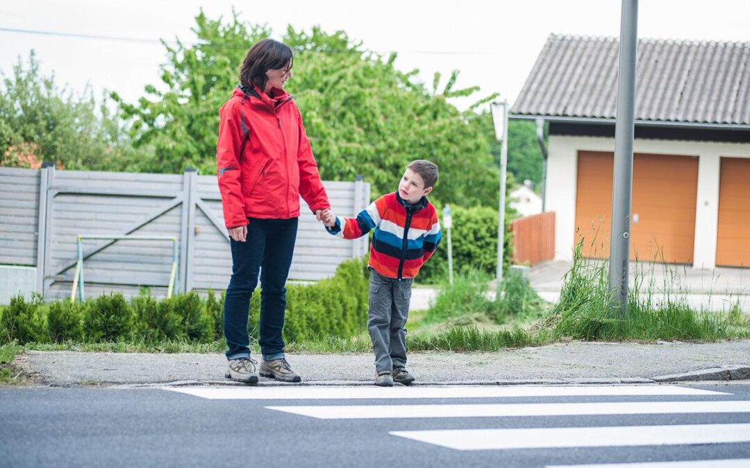 Što je obilježeni pješački prijelaz ili zebra?