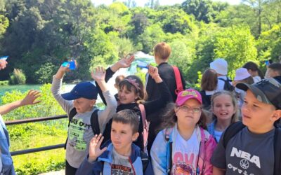 Izlet učenika 1. – 4. razreda: Dubrava – Sokolarski centar – NP Krka – Skradin