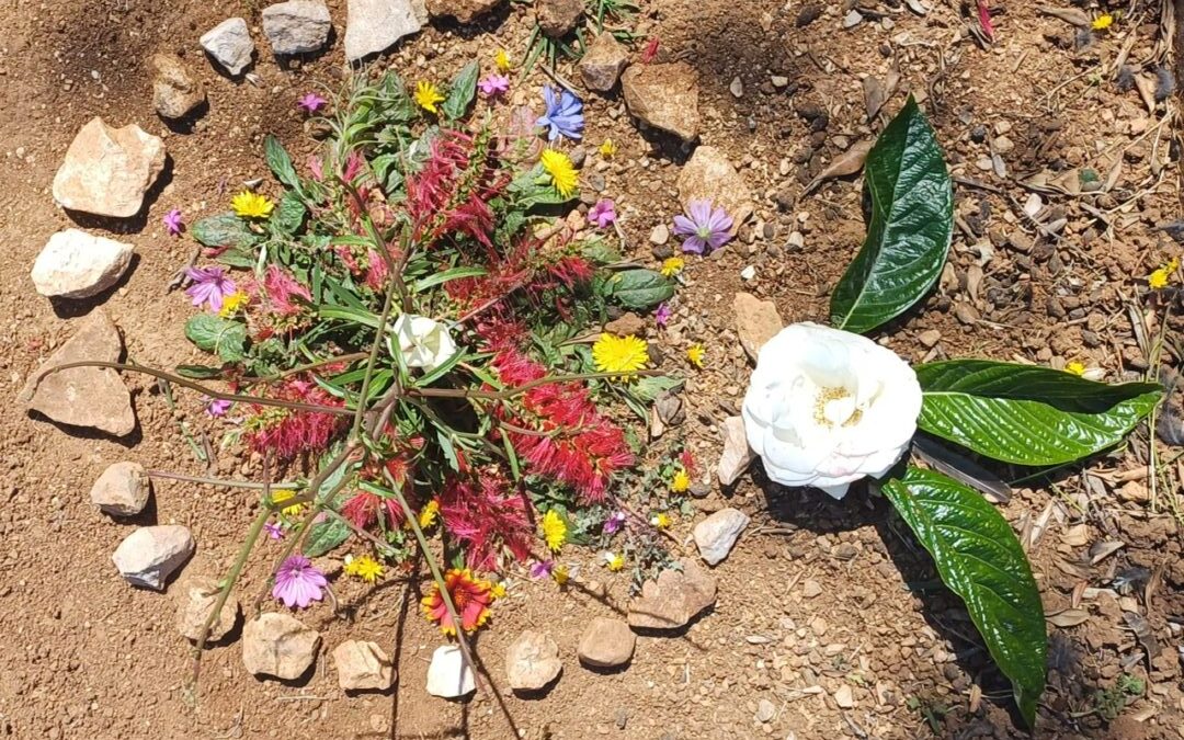 Landart u školskom vrtu